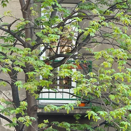 Justina Apartment *